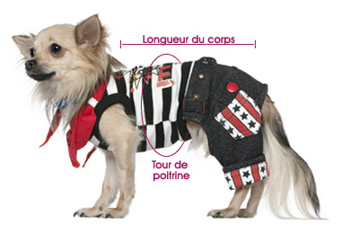Comment choisir les vêtements de bonne taille pour votre chien …