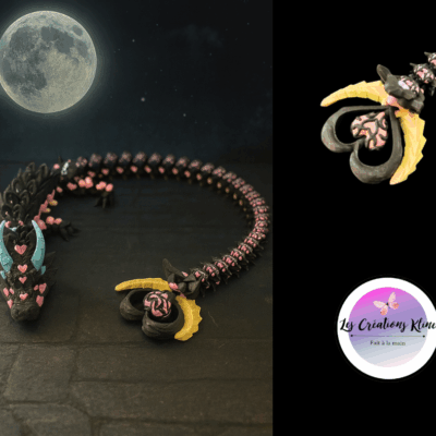 Dragon Cœur Magique