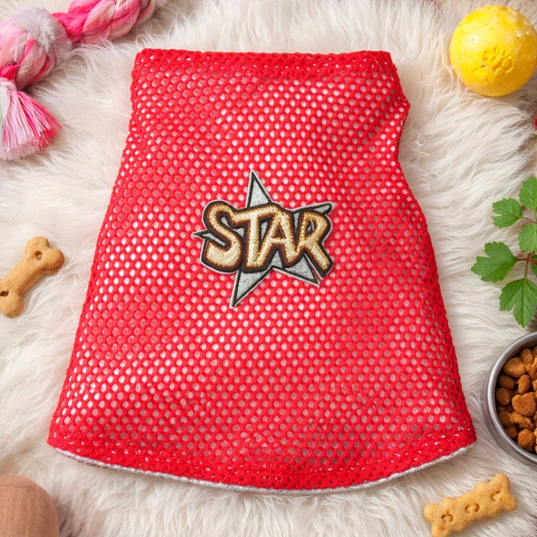 Chandail pour Chien – Style “STAR”