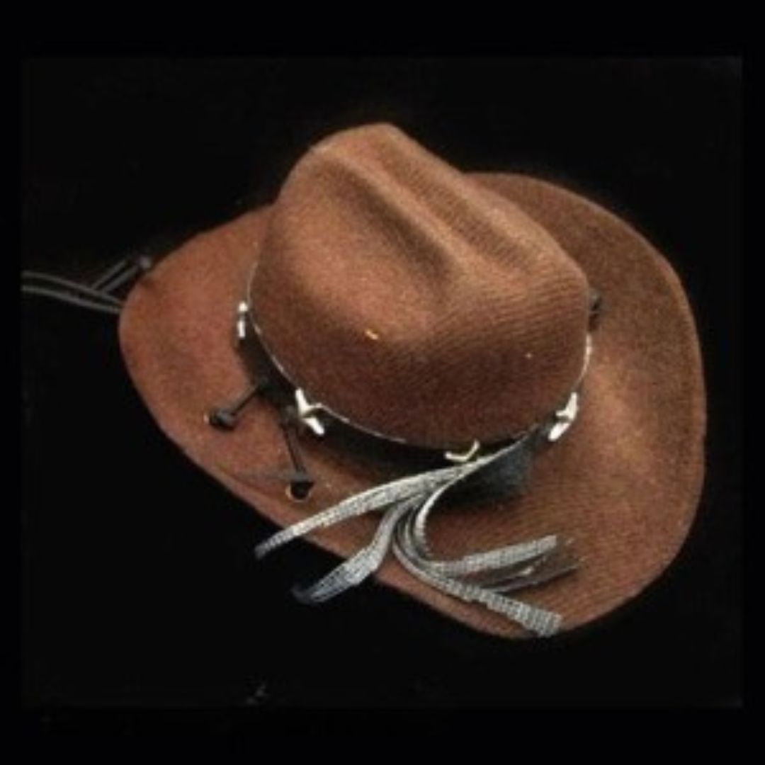 Chapeau Cowboy pour Animaux – Image 8
