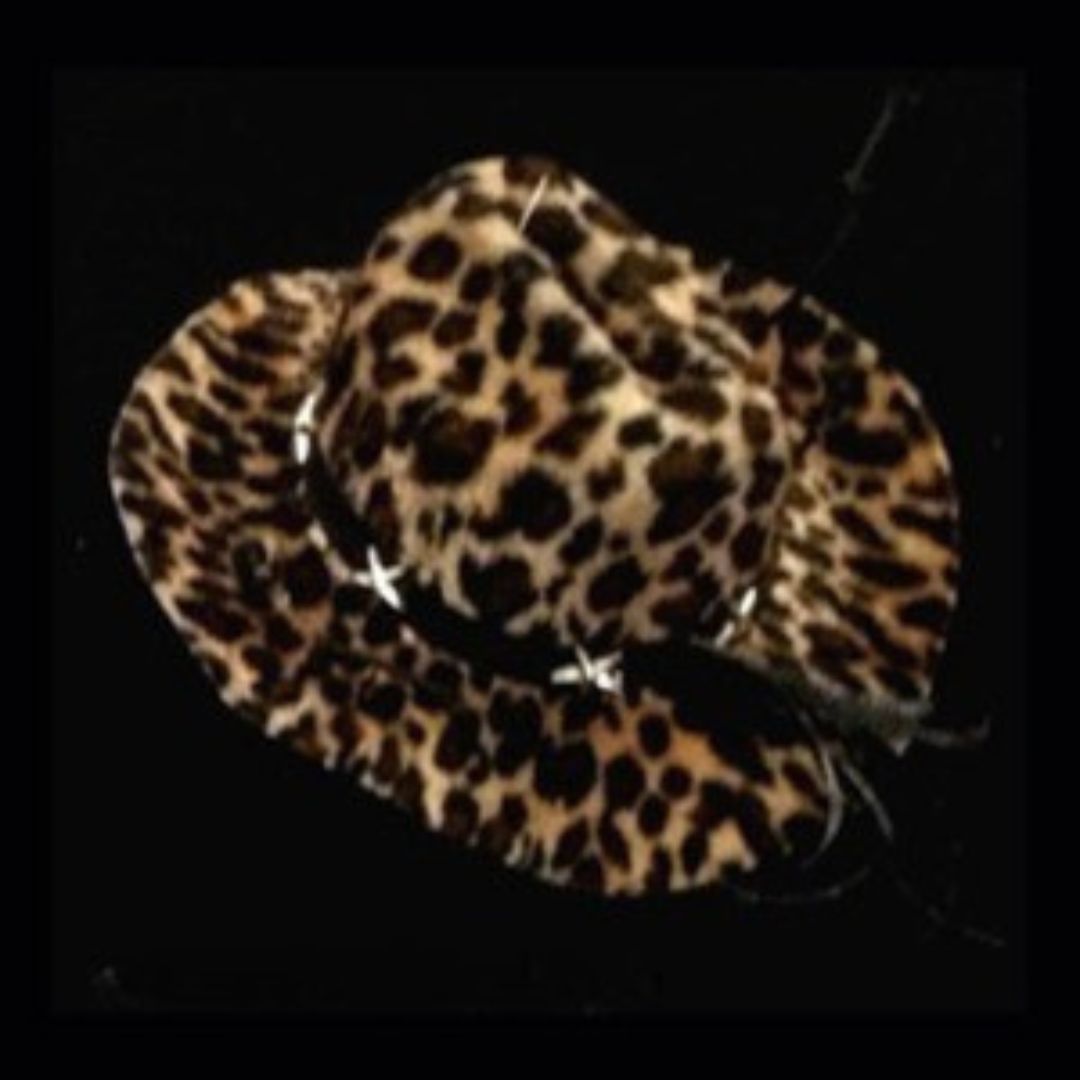 Chapeau Cowboy pour Animaux – Image 6