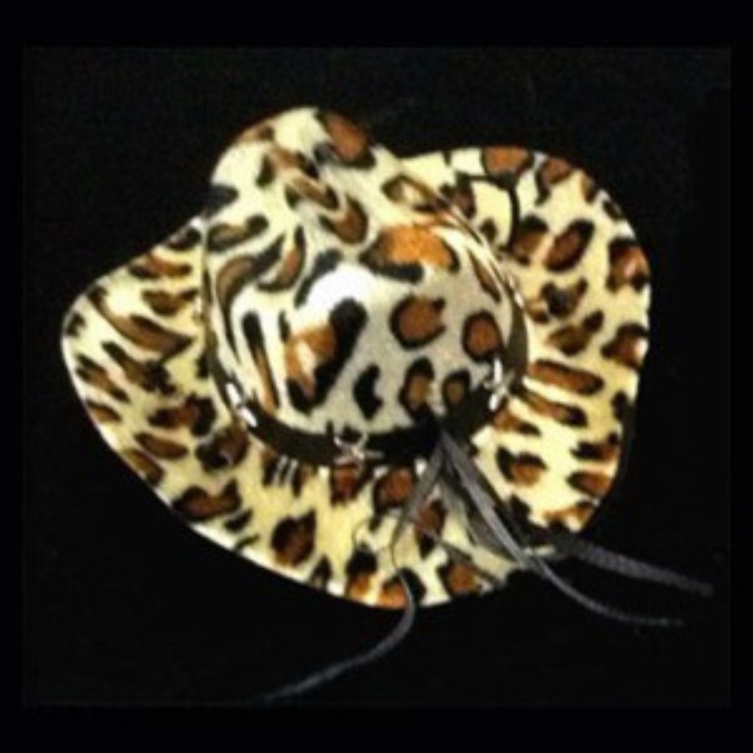 Chapeau Cowboy pour Animaux – Image 3