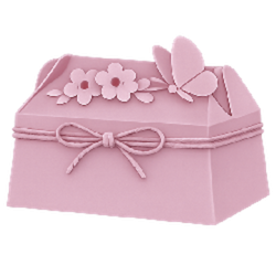 Boîtes surprises et cadeaux uniques