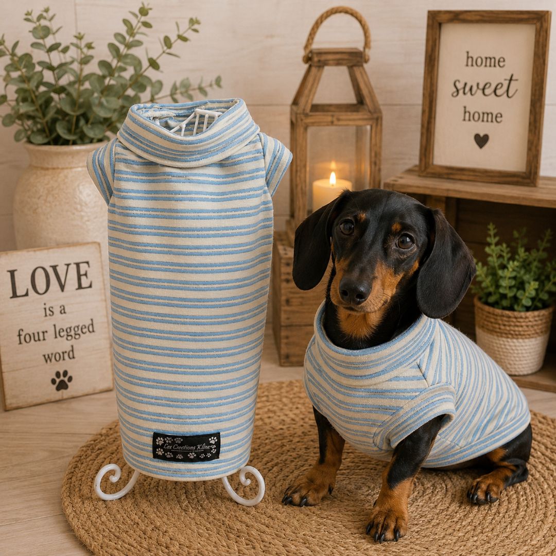 Chandail pour Chat ou Teckel – Rayures Bleu & Blanc